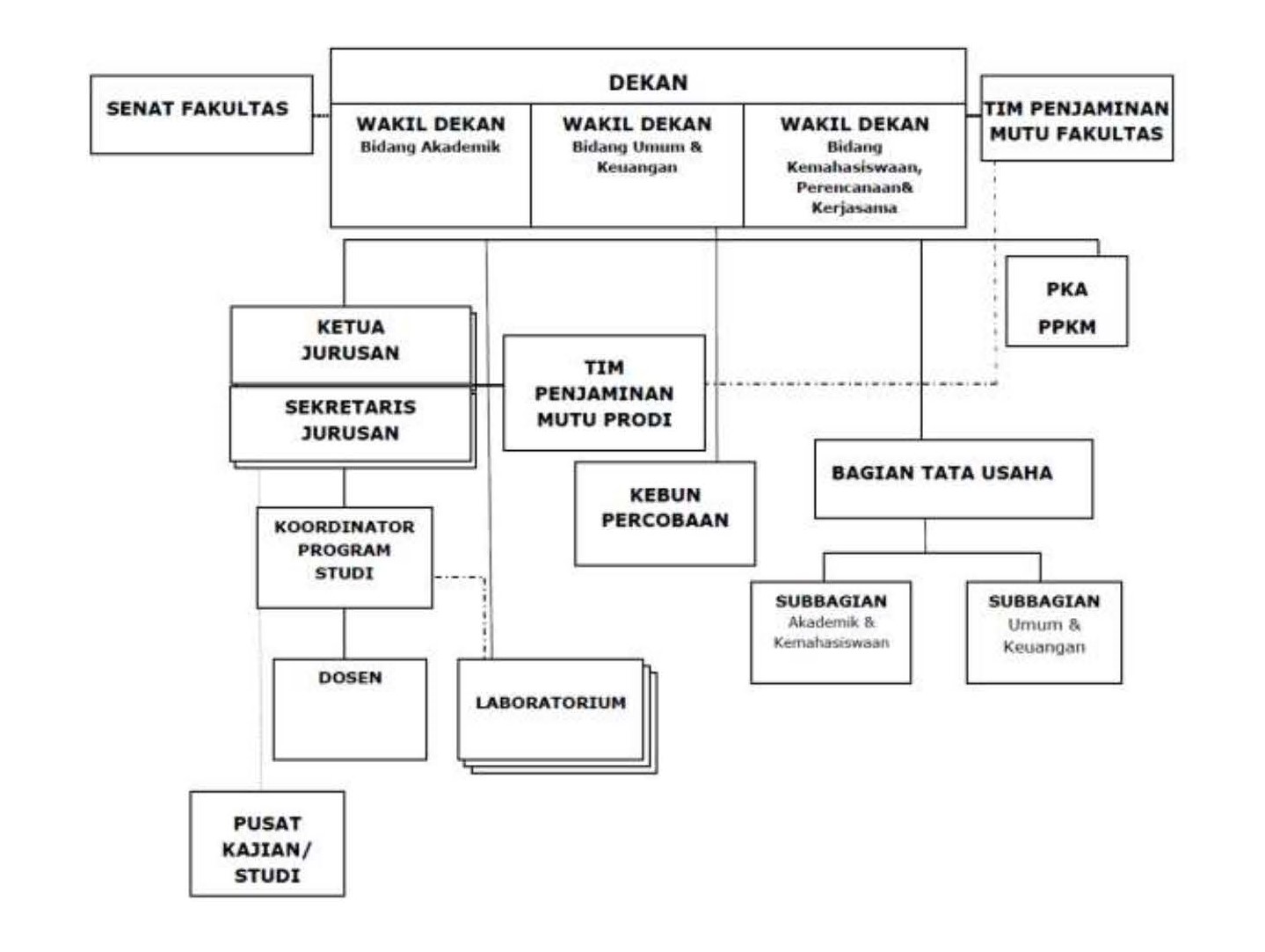 Struktur Organisasi